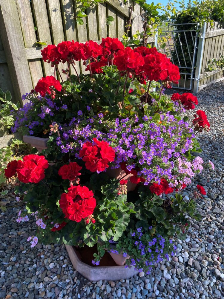 Loaninghead Holiday Cottages www.loaninghead.co.uk Loch Lomond and Trossachs National Park