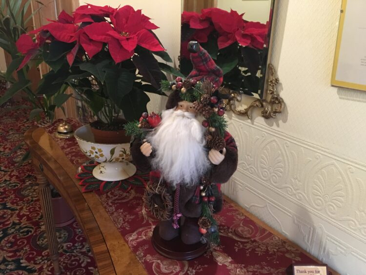 Santa and Poinsettia