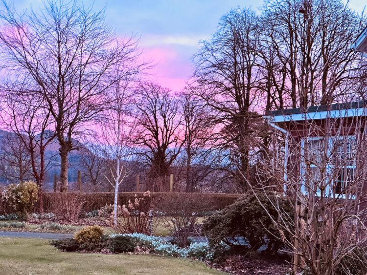 red Sky at Loaninghead.