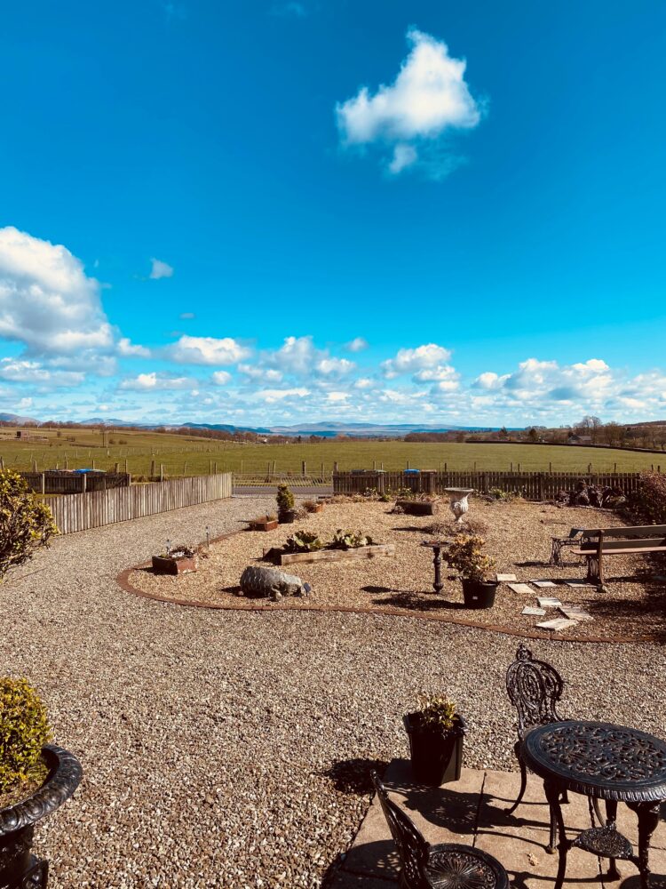 view over Apple House gravel garden