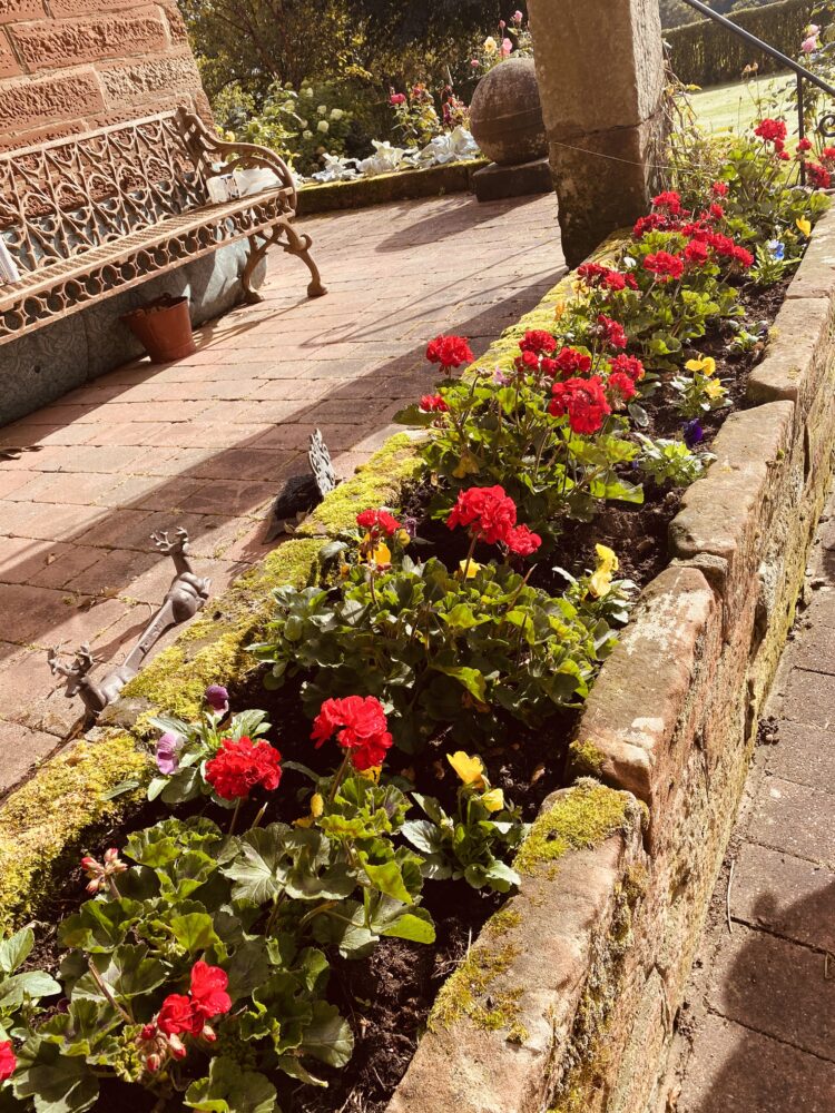 Flowers looking good.
