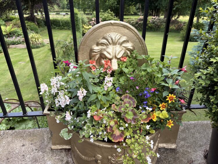 Plants and Planters.